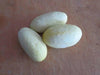 White Cucumber Seeds,Miniature CUCUMBER,ANNUAL VEGETABLE - Caribbean garden seed