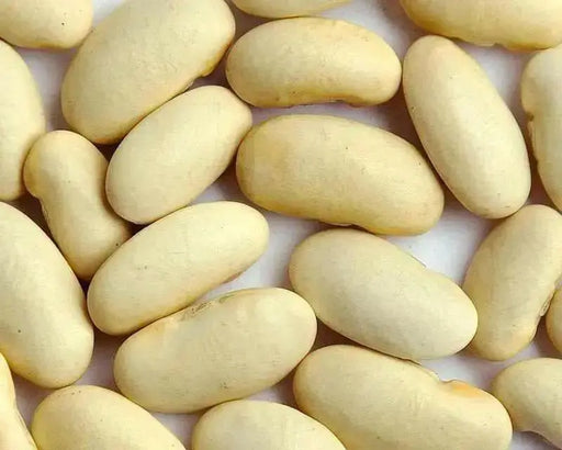 White Emergo ,Runner Bean SEEDS' - Caribbean garden seed