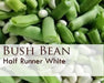White Half Runner Bean Seeds. Pole or a bush bean - Caribbean garden seed