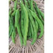 White Half Runner Bean Seeds. Pole or a bush bean - Caribbean garden seed