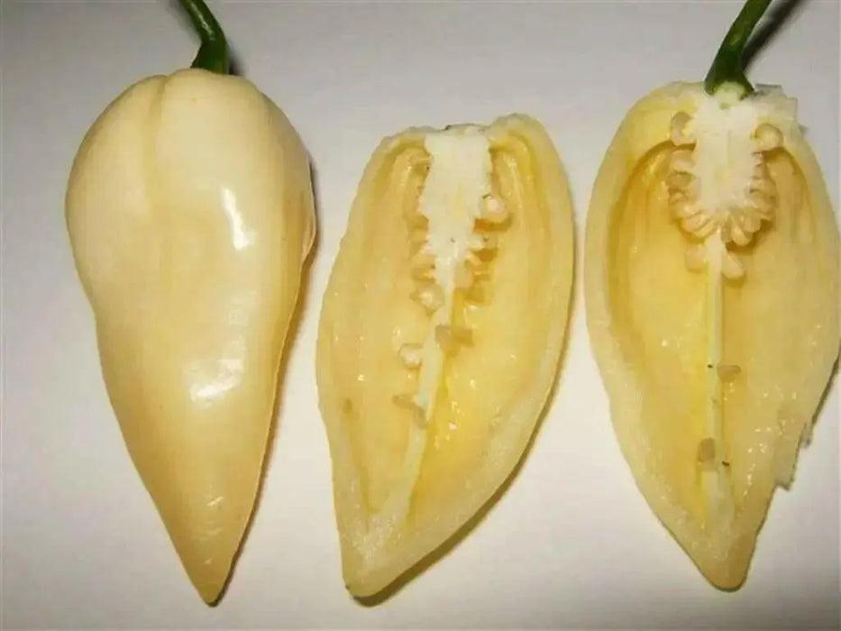 White Ghost PEPPER SEEDS, Capsicum chinense,Bhut Jolokia - Caribbean garden seed