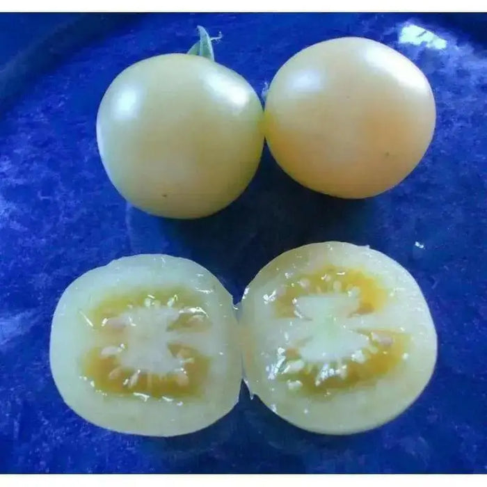White Cherry Tomato Seeds ( Lycopersicon lycopersicum) Open Pollinated - Caribbean garden seed