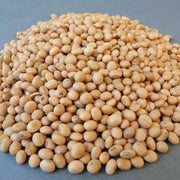 WHITE PEAS/VATANA, ,FOOD STORAGE, SPROUTS, SPROUTING SEEDS - Caribbean garden seed