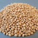 WHITE PEAS/VATANA, ,FOOD STORAGE, SPROUTS, SPROUTING SEEDS - Caribbean garden seed