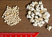 WHITE POPPING SORGHUM Seeds, - Caribbean garden seed