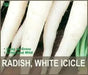 White Icicle Radish SEEDS (Raphanus sativus)  Biennial VEGETABLE - Caribbean garden seed