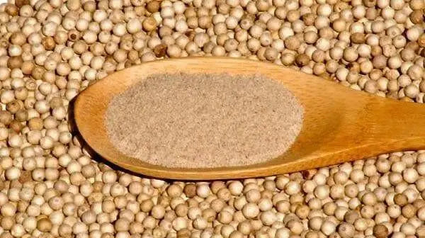 White Pepper Whole - Caribbean garden seed