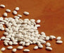 White navy beans (called haricots in French) Heirloom , Bush,  Dry Shelling Bean Seed  Organically Grown. - Caribbean garden seed