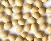White navy beans (called haricots in French) Heirloom , Bush,  Dry Shelling Bean Seed  Organically Grown. - Caribbean garden seed