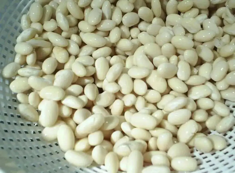 White navy beans (called haricots in French) Heirloom , Bush,  Dry Shelling Bean Seed  Organically Grown. - Caribbean garden seed