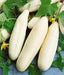 White Wonder CUCUMBER SEEDS, Gmo free Vegetables - Caribbean garden seed