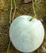 Winter Melon Seeds ,Asian vegetable - Caribbean garden seed
