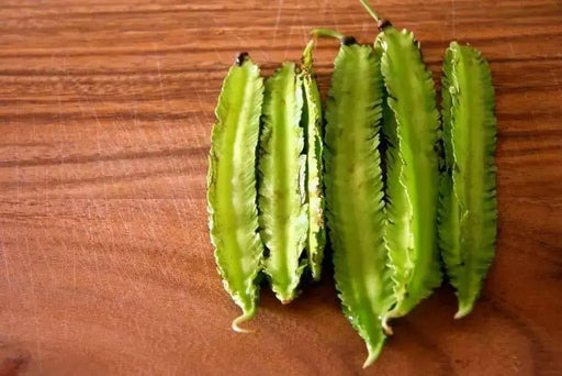 Winged bean (BUSH BEAN) Asian vegetable, ASPARAGUS PEA - Caribbean garden seed