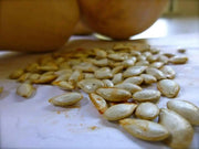 Winter Squash, Butternut Squash, Heirloom Seeds - Caribbean garden seed