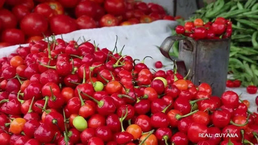 WIRI WIRI PEPPER,- Fresh Pods ,FROM OUR FARM . CARIBBEAN PRODUCT - Caribbean garden seed