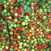 WIRI WIRI PEPPER,- Fresh Pods ,FROM OUR FARM . CARIBBEAN PRODUCT - Caribbean garden seed