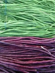 Yard Long Bean, Mix Seed Red & Green Asian Vegetable - Caribbean garden seed