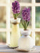 Woodstock Hyacinth Bulb Forcing Kit - Clear Glass Vase with Woodstock Hyacinth Bulb - Caribbean garden seed