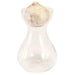 Woodstock Hyacinth Bulb Forcing Kit - Clear Glass Vase with Woodstock Hyacinth Bulb - Caribbean garden seed