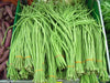 Yard Long Bean,sweet and crunchy pods - Asian Vegetable - Caribbean garden seed