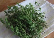 WINTER Savory, HERB seeds - Satureja Montana - Caribbean garden seed