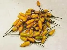 Yellow African Pequin Birds Eye Heirloom Pepper, VERY HOT - Caribbean garden seed