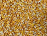Yellow dent corn seeds, ORGANIC ,HEIRLOOM, OPEN POLLINATED - Caribbean garden seed
