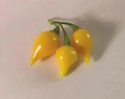 YELLOW Biquinho Pepper  (live PLANTS) SWEET TEARDROP , - Caribbean garden seed