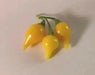 YELLOW Biquinho Pepper  (live PLANTS) SWEET TEARDROP , - Caribbean garden seed