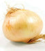 Yellow Granex Onion Plants- ,Sweet, mild flavor ,Bolt resistant,Short day - Caribbean garden seed