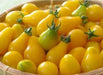 Yellow Pear tears drops Tomato SEEDS,(Lycopersicon lycopersicum ) Open Pollinated! - Caribbean garden seed