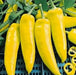 Yellow Hungarian Wax,Hot Pepper Seeds, Capsicum annuum ,Heirloom - Caribbean garden seed