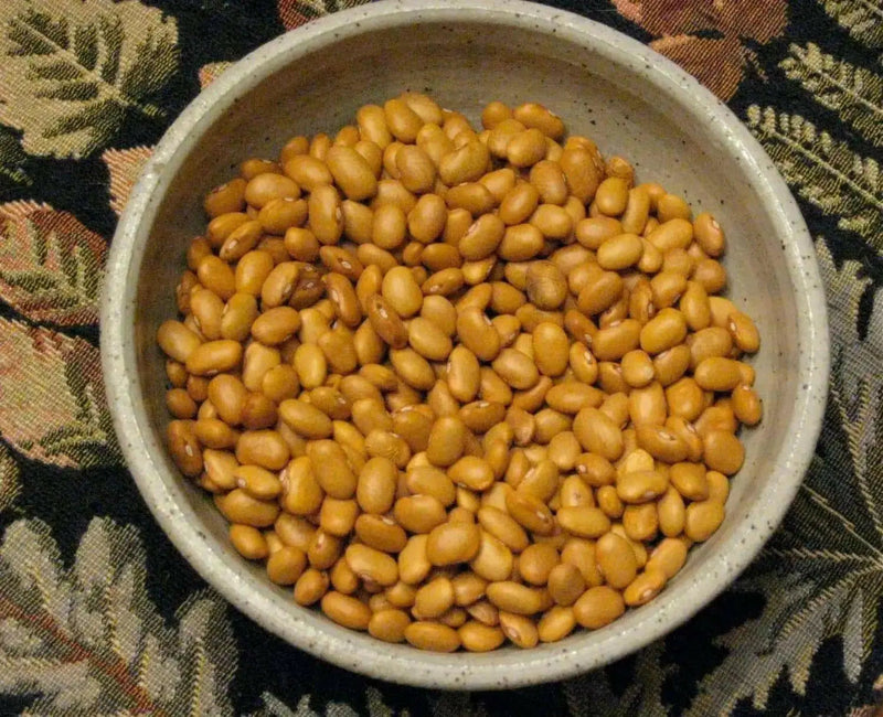 Yellow Indian Woman Bean , Bush,Heirloom (OP) Open Pollinated- Swedish heirloom  ! - Caribbean garden seed