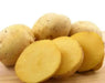 Yukon Gold Potato , Smooth, thin yellow skin - Caribbean garden seed