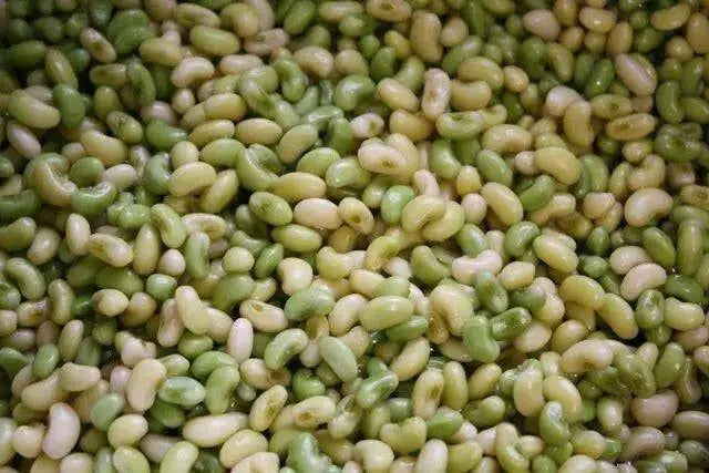 Zipper Cream Pea SEEDS,  SOUTHERN SHELLING PEA - Caribbean garden seed