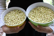Zipper Cream Pea SEEDS,  SOUTHERN SHELLING PEA - Caribbean garden seed