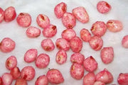 Zipper Cream Pea SEEDS,  SOUTHERN SHELLING PEA - Caribbean garden seed