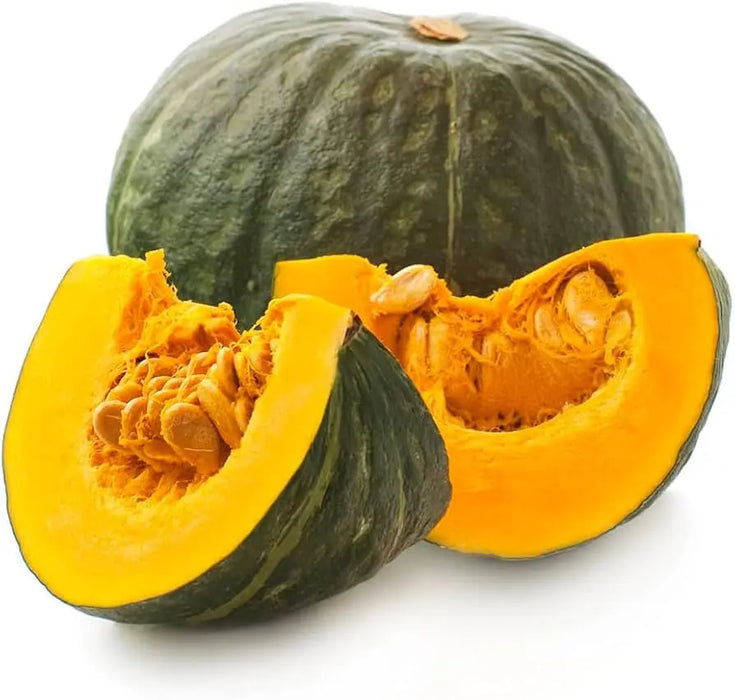 Squash Seeds - Winter - Zucca de Lungo Verde, ITALIAN HEIRLOOM WINTER SQUASH (Copy) - Caribbean garden seed
