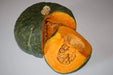 Squash Seeds - Winter - Zucca de Lungo Verde, ITALIAN HEIRLOOM WINTER SQUASH (Copy) - Caribbean garden seed