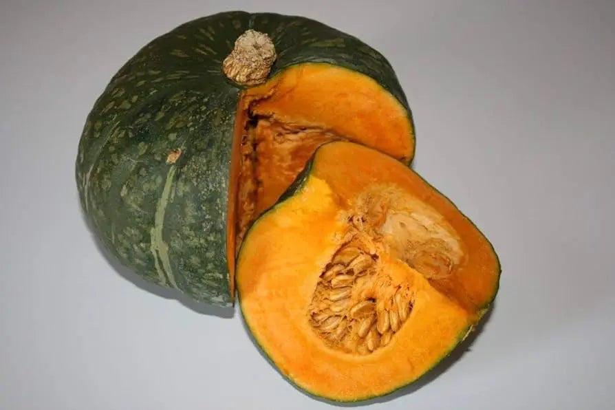 Squash Seeds - Winter - Zucca de Lungo Verde, ITALIAN HEIRLOOM WINTER SQUASH (Copy) - Caribbean garden seed