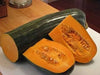 Squash Seeds - Winter - Lungo de Napoli, ITALIAN HEIRLOOM WINTER SQUASH - Caribbean garden seed