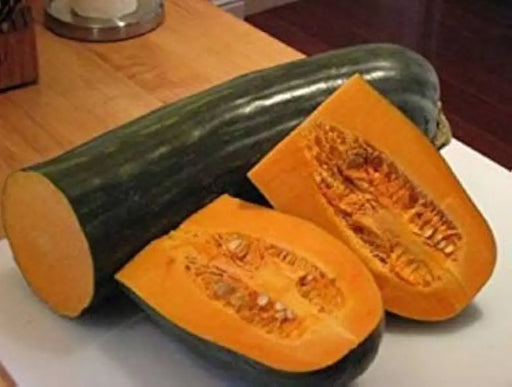 Squash Seeds - Winter - Lungo de Napoli, ITALIAN HEIRLOOM WINTER SQUASH - Caribbean garden seed
