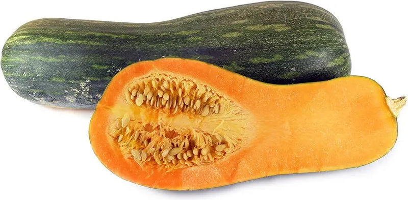 Squash Seeds - Winter - Lungo de Napoli, ITALIAN HEIRLOOM WINTER SQUASH - Caribbean garden seed