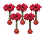 Red Waxed Jumbo Amaryllis Bulbs-GREAT HOLIDAY GIFT CARIBBEAN GARDEN SEED