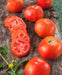 RUTGERS TOMATO SEEDS Caribbean garden seed