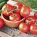 Tomato Seeds - Salad - Celebrity Plus Hybrid, All-America winner Caribbean garden seed