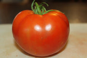 Tomato Seeds - Salad - Celebrity Plus Hybrid, All-America winner Caribbean garden seed