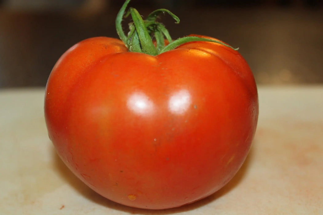 Tomato Seeds - Salad - Celebrity Plus Hybrid, All-America winner Caribbean garden seed