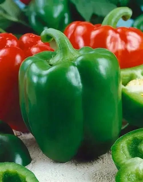 FRESH BELL PEPPER (FRESH PRODUCE) ORGANIC VEGETABLE - Caribbean garden seed