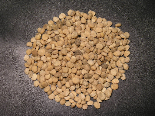 American Ginseng Seeds, Ready To Plant - Caribbean garden seed